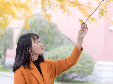 菲律宾大学好不好